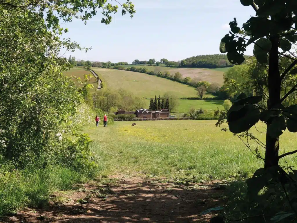 Chess Valley