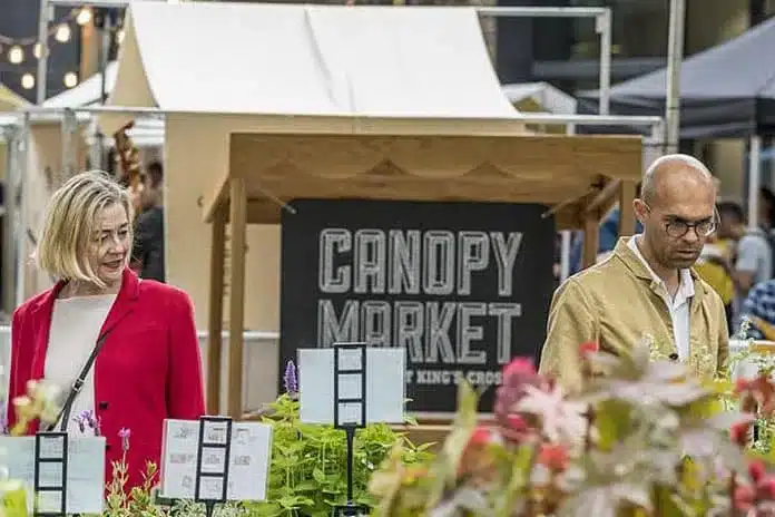 canopy market
