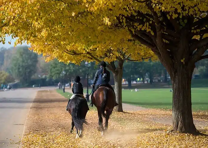 Horseriding - Outdoor activities to do in London