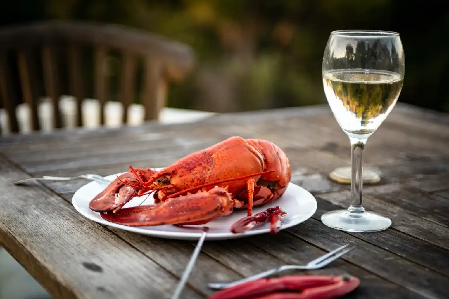 Fresh, Steamed, Maine, Lobster, With, Wine, And, Utensils
