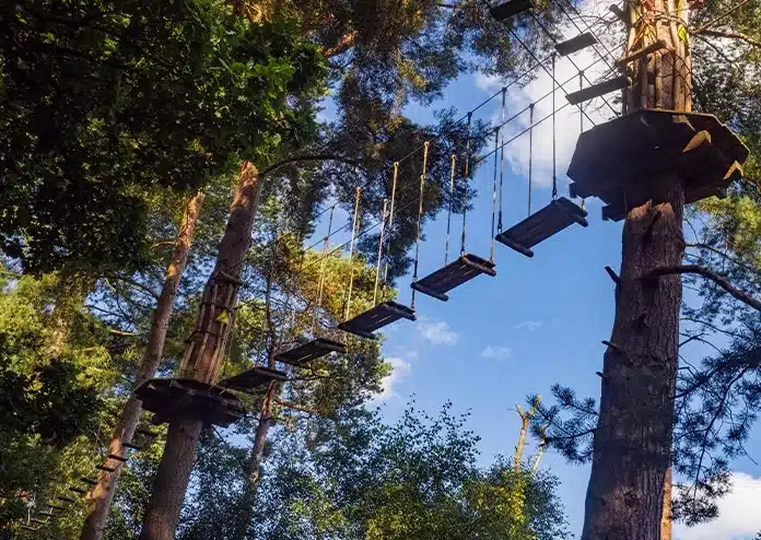 Treetop Course - Outdoor activities to do in London