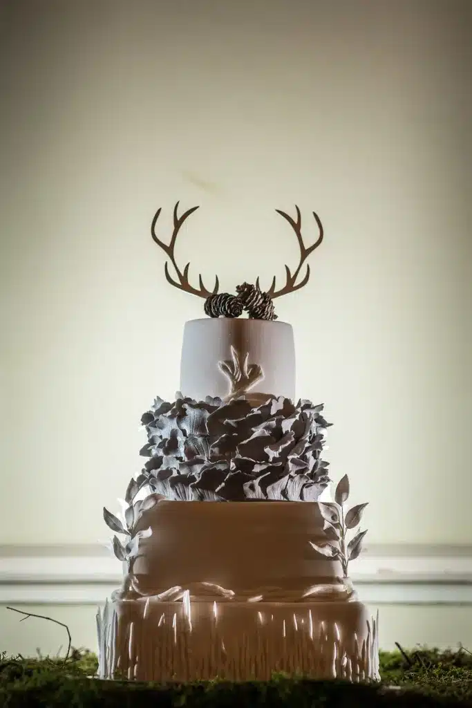 winter cake cred rafe abrook photography